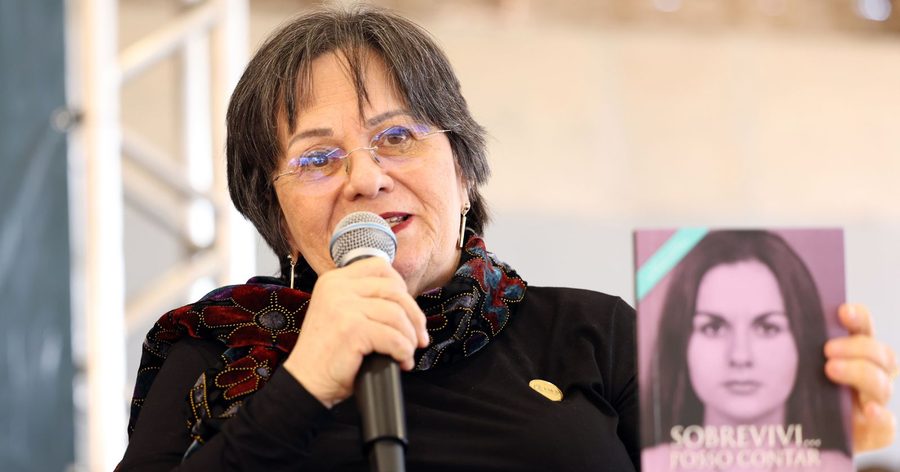Lei Maria da Penha resiste, mas muitas de nós não — capa de publicação de Catarinas